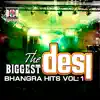 Various Artists - The Biggest Desi Bhangra Hits, Vol. 1